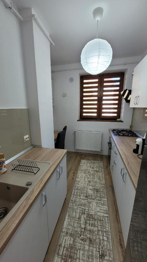 Andy Apartament Petroşani Extérieur photo